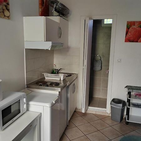 Chambre Meublee Independante, Avec Piscine Et Jardin, 1 Lit Pour 2 Personnes Direct Gare Aeroport トゥールーズ エクステリア 写真