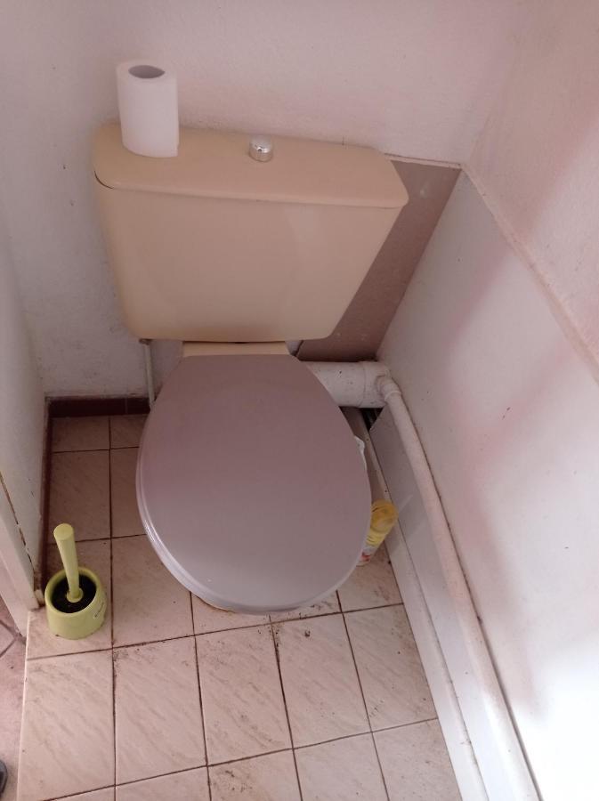 Chambre Meublee Independante, Avec Piscine Et Jardin, 1 Lit Pour 2 Personnes Direct Gare Aeroport トゥールーズ エクステリア 写真