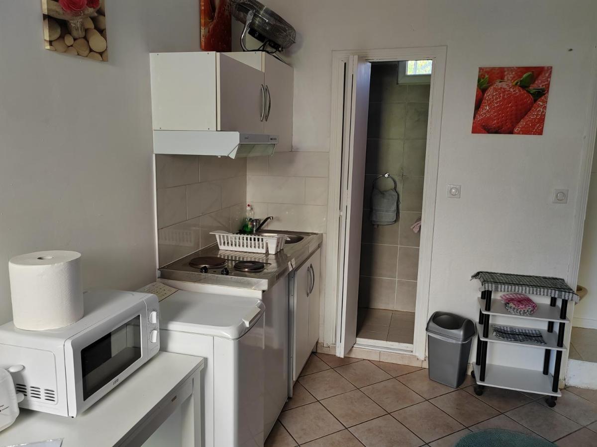 Chambre Meublee Independante, Avec Piscine Et Jardin, 1 Lit Pour 2 Personnes Direct Gare Aeroport トゥールーズ エクステリア 写真